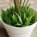 artificial decorative monstera indoor plant