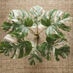 artificial decorative monstera indoor plant